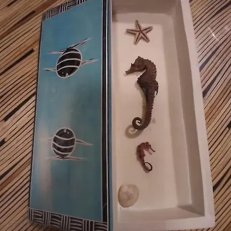 Casa Del Capitano 3* נאפולי